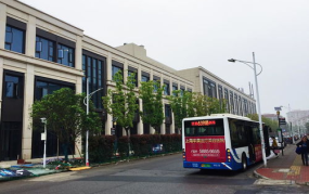 周浦女子爆料新闻,揭露惊人内幕，真相令人震惊